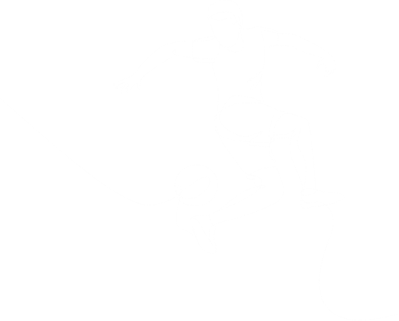 sports stroke img 1 2